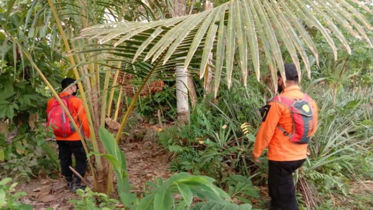 Tim SAR Gabungan Lanjutkan Pencarian Ketut Wijaya di Kolaka Timur