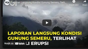 Video: Live Report Of Mount Semeru's Condition, Eruption Seen Again