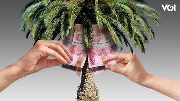 Palm Oil Sector Not Escaped From Corruption Bancakan