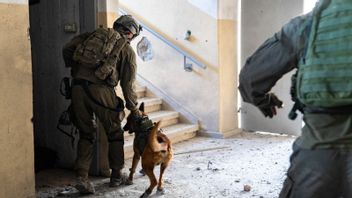 Warga Gaza dengan Sindrom Down Tewas Setelah Diserang Anjing Tentara Israel
