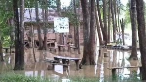 Heavy Rain, 2 Villages In Serang Regency, Banten, Were Submerged By Floods