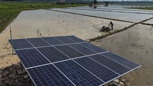 Panel Surya RI hingga India Dikenakan Tarif Seratusan Persen oleh AS