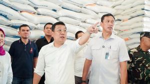 Hadapi Panen Gadu, Bapanas Genjot Serapan Beras dan Perkuat Intervensi Harga