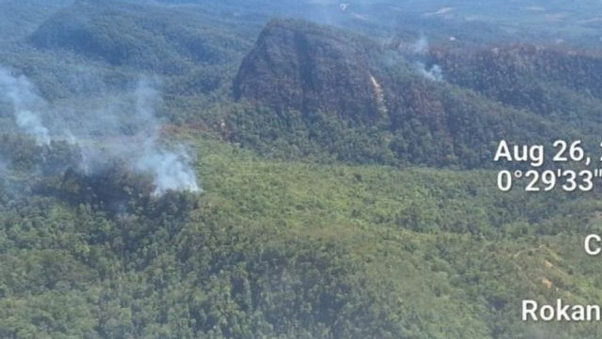 Sumber Air Jauh dan Akses Sulit, BPBD Riau Kerahkan 2 Helikopter Water Bombing Jinakan Api di Rokan Hulu
