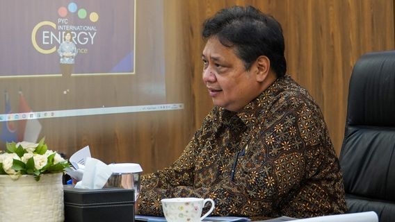 Airlangga Hartarto Emphasizes The Importance Of Renewable Energy For The Future