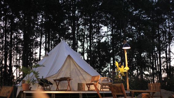 5 Differences Between Glamping And Camping: From Facilities To Costs