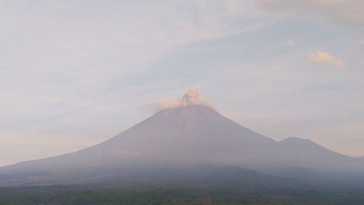 Gunung Semeru Erupsi 3 Kali Muntahkan Kolom Abu Setinggi 400 Meter