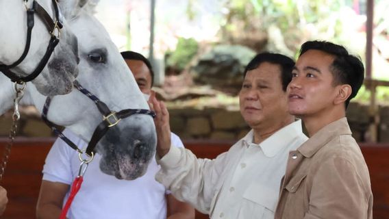 Cegat Gibran Saat Ingin Keluar Markas Kodim 0735 Surakarta, Keluh Kesah Nenek Penjual Pecel Tumpah: Tolong Mas, <i>Enggeh</i>?