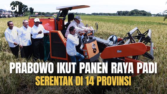 Prabowo Subianto Ikut Panen Raya Padi Serentak di 14 Provinsi