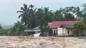 Kerugian Akibat Banjir di Padang Pariaman Capai Rp268,5 Miliar
