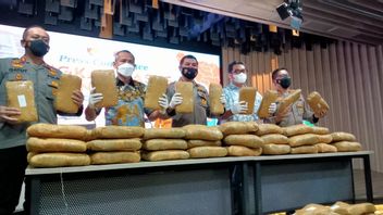 Bareskrim Summarizes Aceh-Medan-Jakarta Network, Seizes 224 Kilograms Of Marijuana