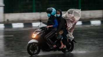 <i>Weekend</i> Ini Yogyakarta Diperkirakan Hujan Ekstrem, BMKG: Dapat Memicu Pohon Tumbang