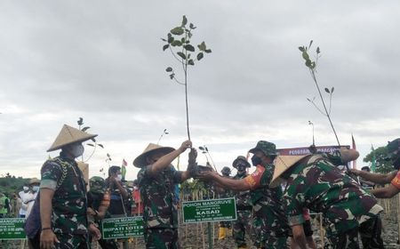 KSAD Dudung dan Warga Tanam Mangrove di KEK Mandalika Lombok