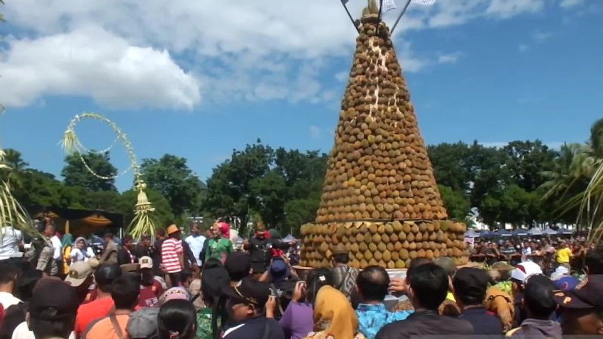 Gebyar Gunungan Results Of Jember Distributes 2,023 Free Durian