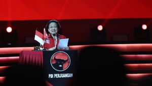 Megawati Bakal Umumkan 169 Bakal Calon Kepala Daerah PDIP Besok