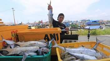 KUR Disbursement Of Marine And Fisheries Sector Until May 2022 Reaches Rp3.9 Trillion