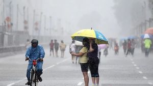 Pohon di Kebon Jeruk hingga Tebet Dipangkas Antisipasi Puncak Musim Hujan dan Angin Kencang