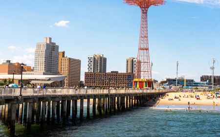 Angry Birds Recoki Drone Pengawas Hiu di Pantai New York