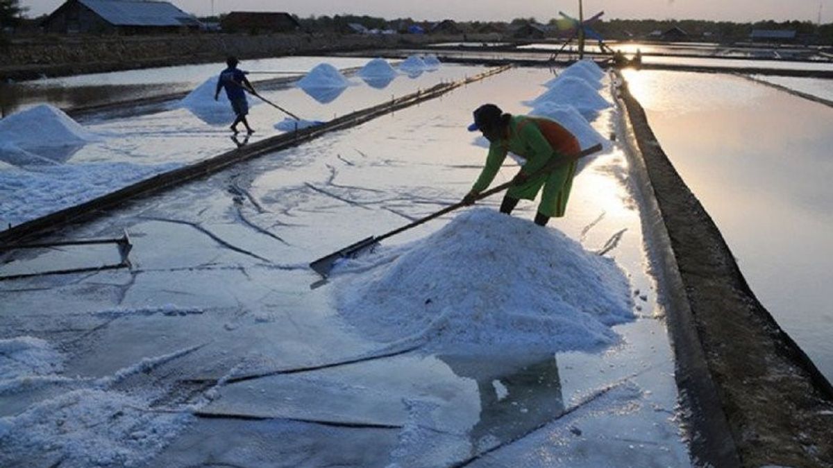 DPR Members Ask The Government To Meet Salt Farmers Frequently, Not To Import