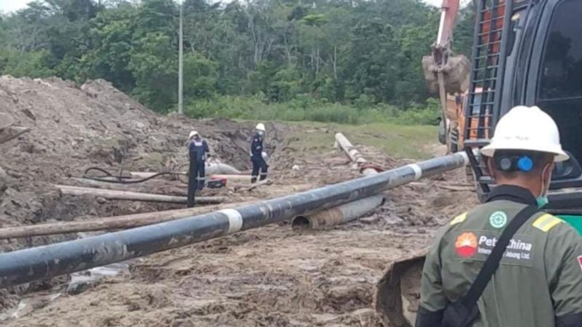 8 Pekerja Menderita Luka Bakar Imbas Meledaknya Pipa Gas di Tanjabbar Jambi, Disnaker-Polisi Periksa Perusahaan Migas