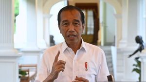 Presiden Jokowi Klaim Pemerintah Serius Berantas Judi Online
