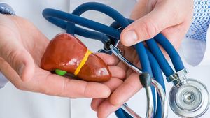 5 Fungsi Hati yang Berhubungan dengan Organ Ekskresi