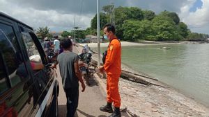 Kepala SAR Himbau Aktivtias Penambang Tradisional Dihentikan Lantaran Curah Hujan Tinggi