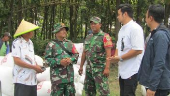 Bulog Apresiasi TNI yang Kawal Panen Petani di Kabupaten Bekasi