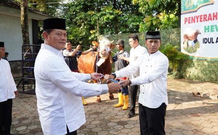 Panglima TNI Laksamana Yudo Margono Kurban Sapi Seberat 1,44 Ton