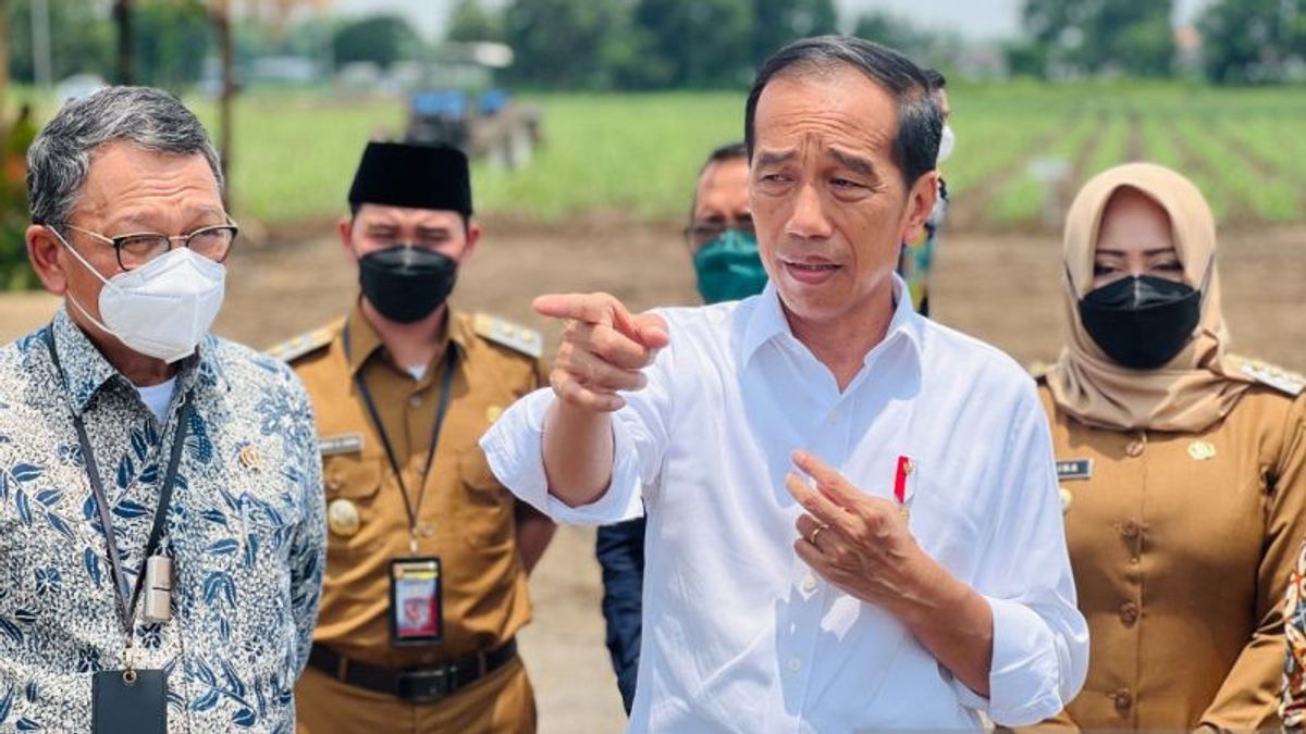 Target Swasembada Gula, Jokowi Mengaku Sudah Siapkan 700 Ribu Hektare Lahan Tebu