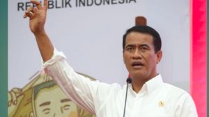 Banyak Penggilingan Padi Gulung Tikar, Mentan: Kapasitas Terlalu Besar, Produksi Terbatas