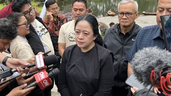 Puan Regarding The Illegal Logging Special Committee And Revision Of The Forestry Law: Discussed After The Sumatra Disaster Was Handled