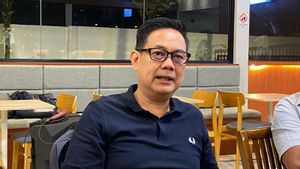 Kempit Hampir 500.000 Ha Lahan Konsesi Tambang, PT Timah Akui Masih Susah Berantas Tambang Ilegal