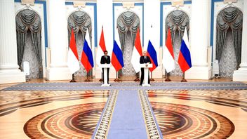 الرئيس بوتين يقول إن الشركات الروسية مستعدة للمشاركة في عملية نقل رأس المال إلى IKN والتطوير النووي في إندونيسيا