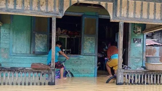 Banjir Rendam Puluhan Rumah di Gunung Mas Kalteng