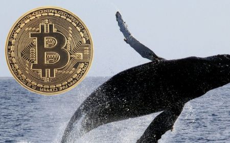 Whale Bitcoin Ini Kirim 1.000 BTC Setelah 10 Tahun Tidak Aktif 