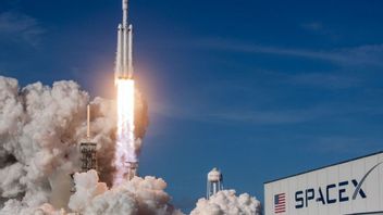 Pingin Ikut SpaceX ke Bulan? Bayarnya Pakai Dogecoin 