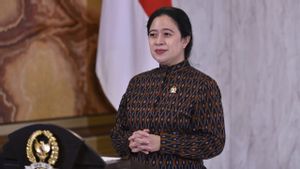 Bertemu Cak Imin Pekan Depan, Puan Maharani Bawa Pesan dari Megawati