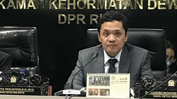 Denying The Prohibition Of Demo In The New Criminal Code, Gerindra: Naturally Dong, Anyone Who Makes Huru Hara Must Be Criminalized