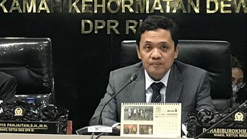 Bantah Larangan Demo di KUHP Baru, Gerindra: Wajar Dong, Siapapun yang Bikin Huru Hara Pasti Dipidana