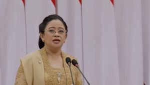 Ketidakpastian Global Meningkat, Puan Ungkap APBN Koreksi Terlalu Dalam untuk Ruang Fiskal