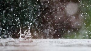 Ramalan Cuaca di Bali Hari Ini Menurut BMKG: Pagi Cerah Berawan, Siang Hujan Ringan-Sedang 