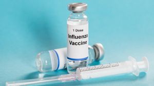 Korea Selatan Maju Terus dengan Program Vaksin Flu Meski 48 Orang Meninggal dalam Pengujian