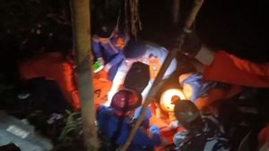 Helikopter Airbus H130 PK-CFX Jatuh di Hutan Sekadau, 8 Penumpang  Tewas Dievakuasi Basarnas 