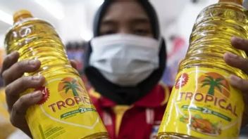 Cooking Oil Prices Soar, Indef Economists Are Concerned: Large Palm Oil Producers, But There Is No Guarantee That People Can Enjoy