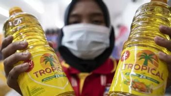 Harga Minyak Goreng Melonjak, Ekonom Indef Prihatin: Produsen Besar Minyak Kelapa Sawit, tapi Tidak Ada Jaminan Masyarakat Bisa Menikmati