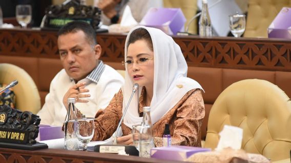 PPN 12 Persen, Gerindra Tuding PDI Perjuangan Lempar Tanggung Jawab