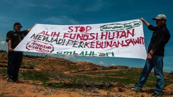 Deforestasi Hutan demi Kelapa Sawit Selalu Dibayangi Ancaman Kerusakan Ekologi dan Konflik Agraria