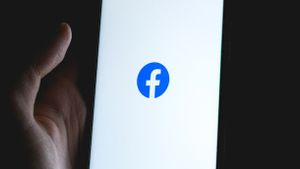 Geger Soal Grup 'Fantasi Semerah' Di Facebook, Meta Berantas Akun Dan Grup Bertema Inses