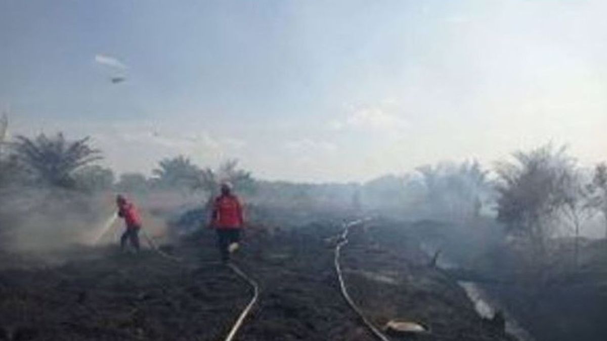 リアウ州の森林・土地火災犯34人が逮捕された